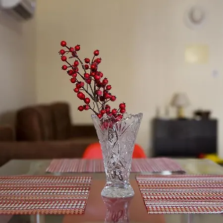 Apartman With A Roof Garden