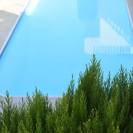 With A Roof Garden *