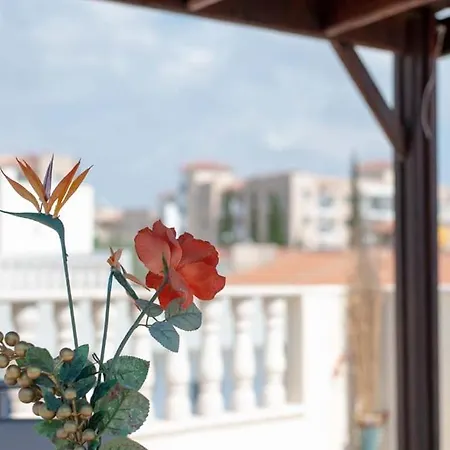 With A Roof Garden *