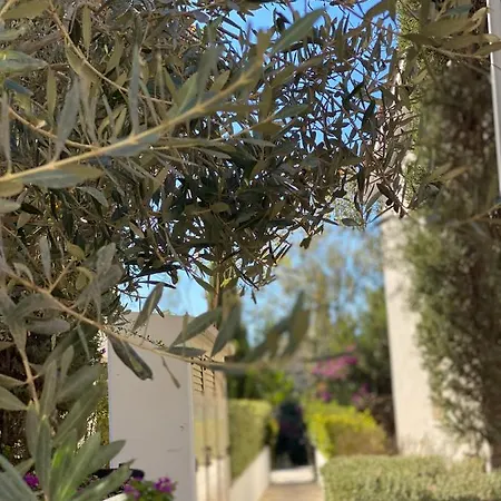 Apartman With A Roof Garden Paphos